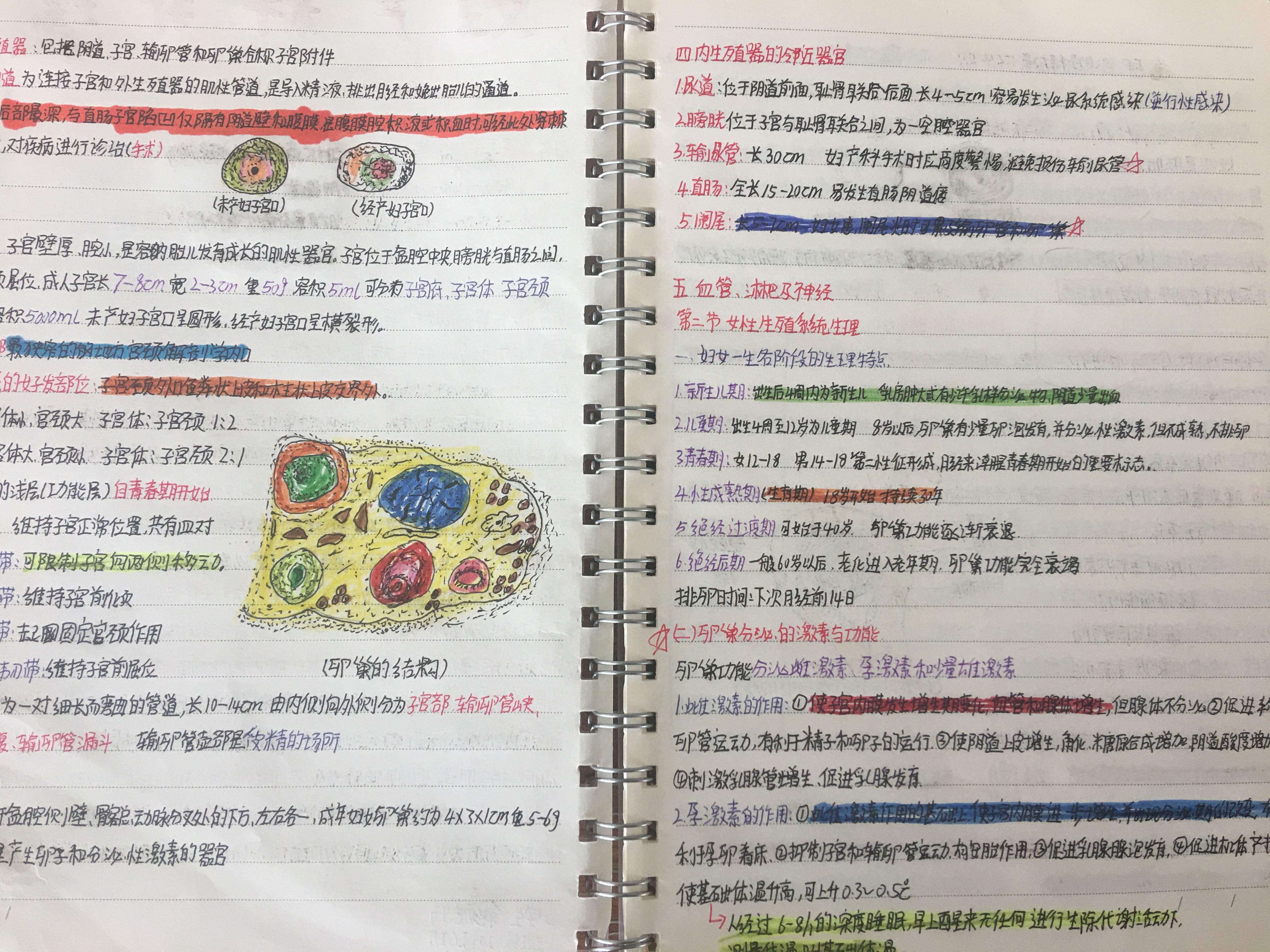 2-211215142041B5.jpg