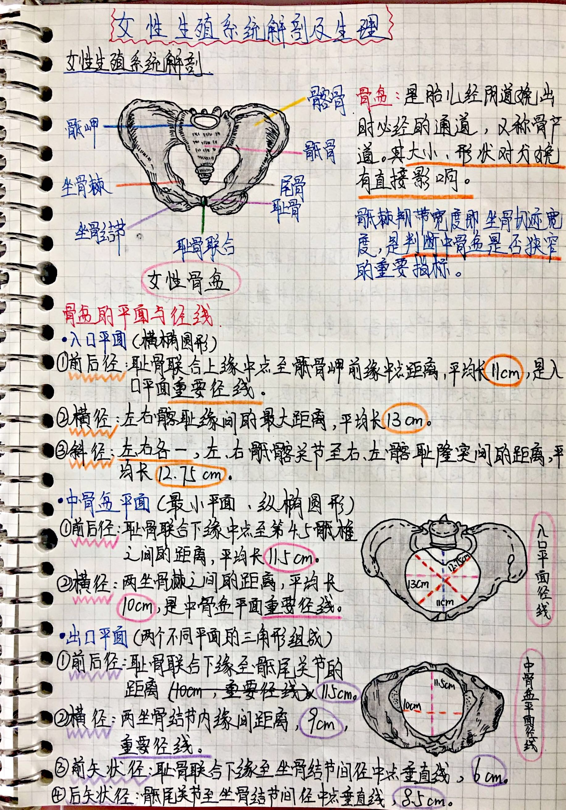 2-211215142050D1.jpg