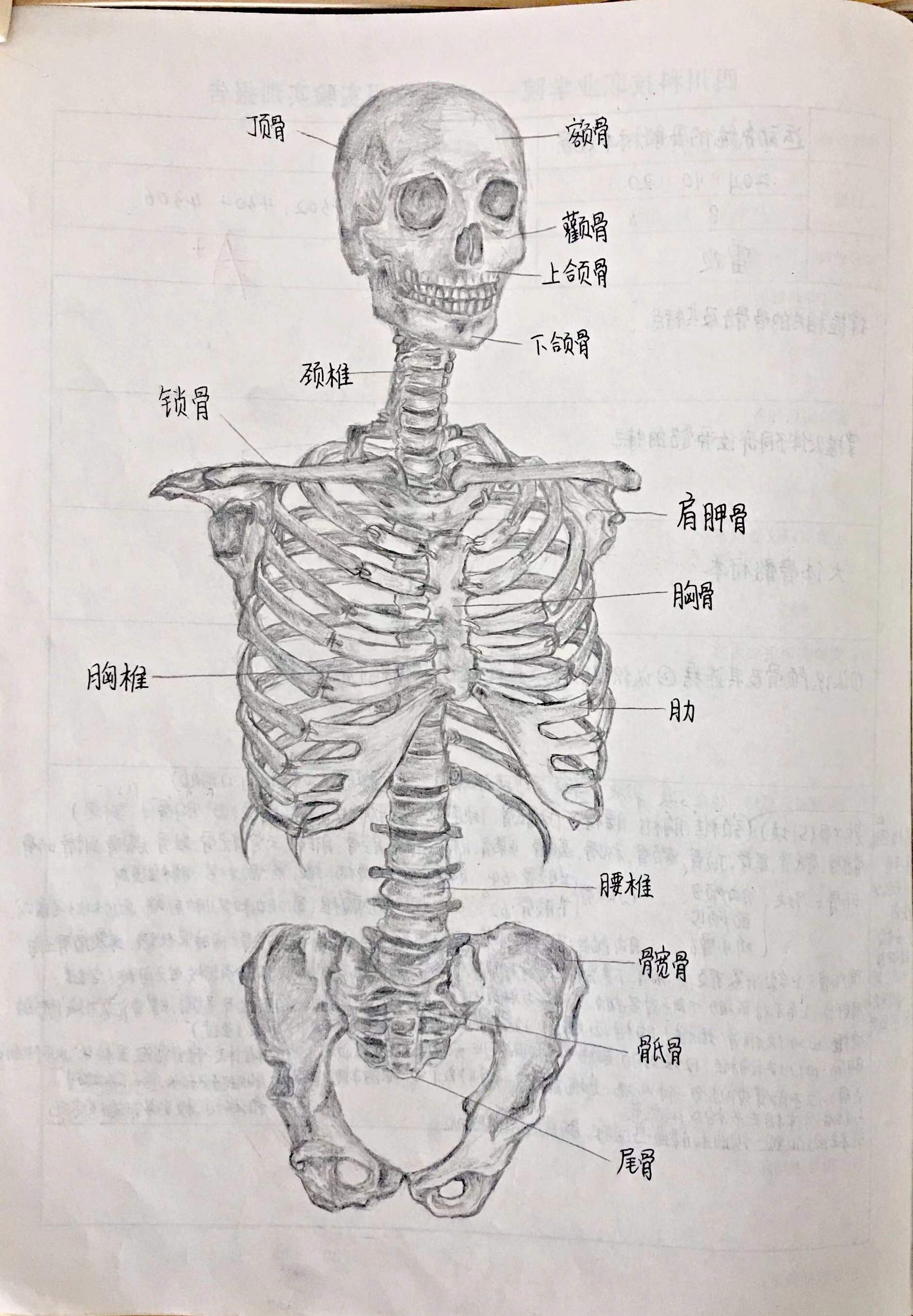 2-211215142119D6.jpg