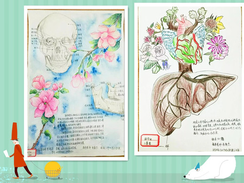 医护学院开展“好作业·好笔记·好实训报告”评选活动(图1)